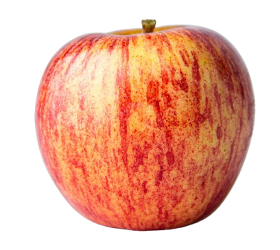 Jedlo